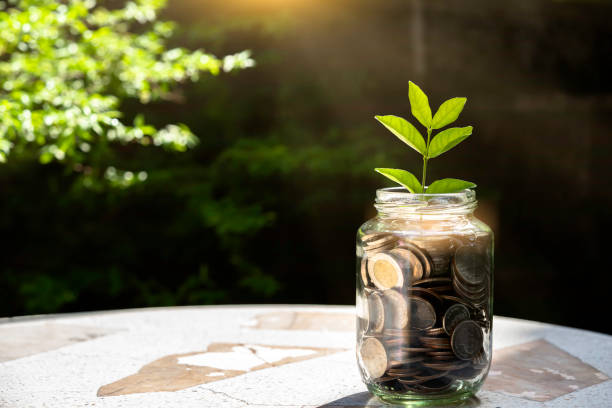 planta pequeño árbol creciendo en monedas de ahorro, inversión y concepto de interés - bonds green fotografías e imágenes de stock