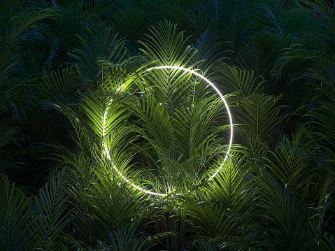 Minimal nature concept. Creative layout made of tropical leaves with white circle neon frame. Flat lay.