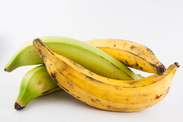 Plantain or Green Banana (Musa x paradisiaca) Plantain or Green Banana (Musa x paradisiaca) isolated in white background ripe stock pictures, royalty-free photos & images