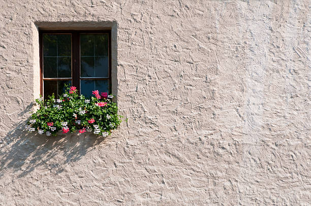 Plants and window Potted plants outside a window in summer time; copy space on wall. stucco stock pictures, royalty-free photos & images
