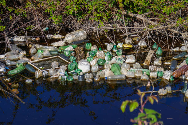 Plastic bottles and trash in a polluted river. Water contamination. Environmental pollution. stock photo