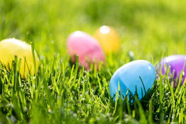 Plastic Easter Eggs stock photo