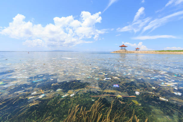 Plastic garbage in the sea on Bali in Indonesia stock photo