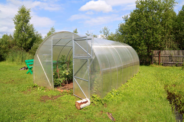 invernadero de plástico en el jardín de verano - foto de stock