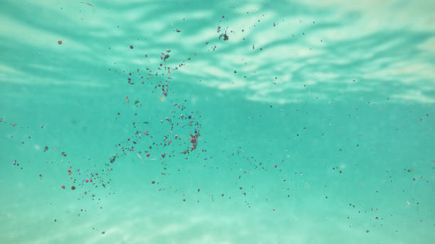 plastic pollution, micro plastic particle and nurdles in ocean water stock photo