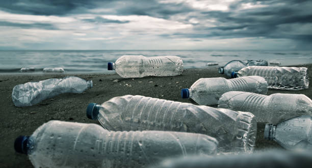 플라스틱 물 병 오염 바다 (환경 개념) - 플라스틱 뉴스 사진 이미지