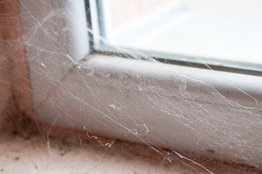 plastic window frame in cobweb and mildew close-up