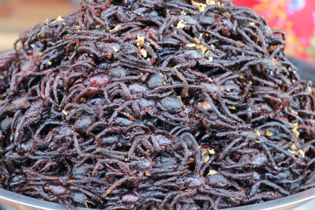 Plate of cooked spiders sold in a Cambogian street market stock photo