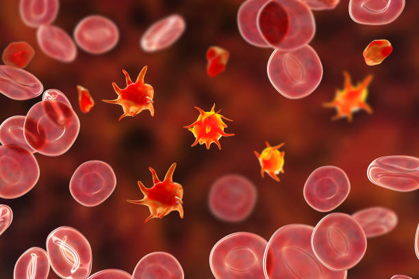 Platelets in blood smear, 3D illustration stock photo