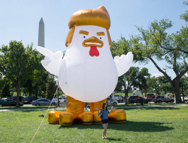Playing chicken Giant inflatable caricature of Donald Trump in the shape of a chicken, on the Elipse in Washington DC. donald trump stock pictures, royalty-free photos & images