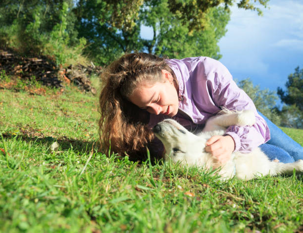 Playing with my dog in the meadow Playing with my dog in the meadow beautiful young brunette girl playing with her dog stock pictures, royalty-free photos & images