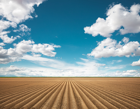 Plowed field under idyllic blue sky with white clouds.