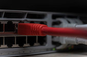 istock Plugging red color ethernet  cable into the  network switch port 1389919910