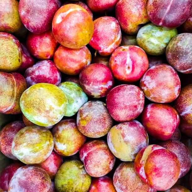 Plum background in the market. Ripe fruits on the counter. stock photo