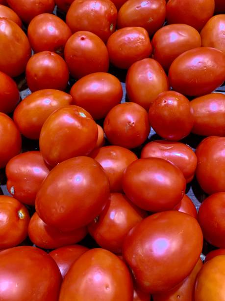 Plum tomatoes stock photo