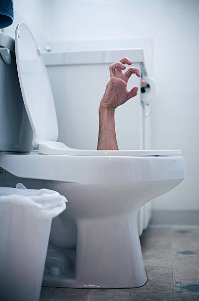 173 Stuck In Toilet Stock Photos, Pictures & Royalty-Free Images - iStock