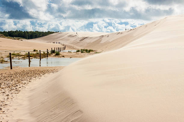 Poland, dunes in Leba. stock photo