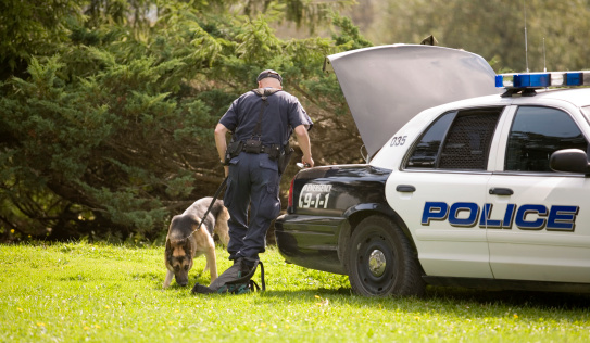 A police dog sniffs at a backpack.Click to see more People Working Images