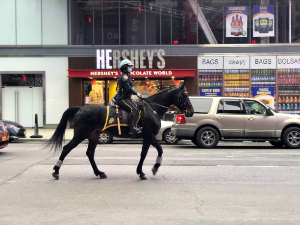 Policewoman on Horse Wears a Mask A policewoman mounted on a horse in Times Square wears as mask as she patrols the streets. horse mask photos stock pictures, royalty-free photos & images