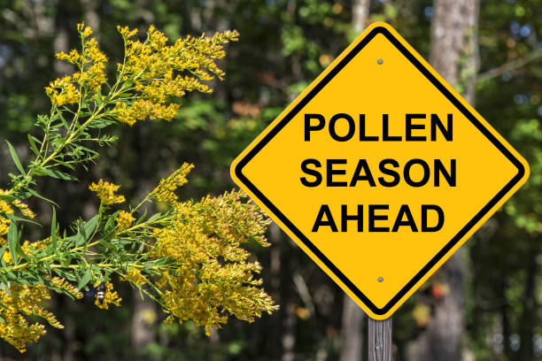 Polllen Season Ahead Warning Caution Sign - Pollen Season Ahead allergy stock pictures, royalty-free photos & images