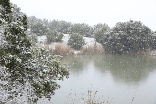 Pond in snow storm stock photo