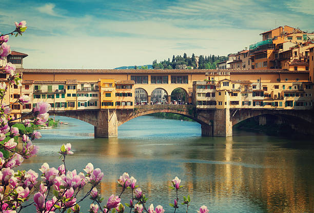 Ponte Vecchio, Florence, Italy famous bridge Ponte Vecchio over river Arno at spring day, Florence, Italy, retro toned arno river stock pictures, royalty-free photos & images