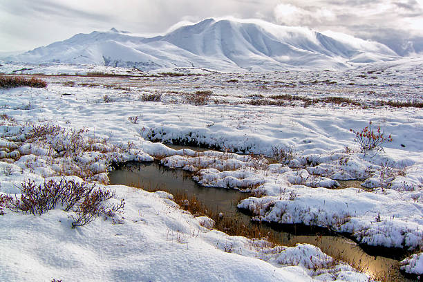 Pools in the tundra mountains stock photo