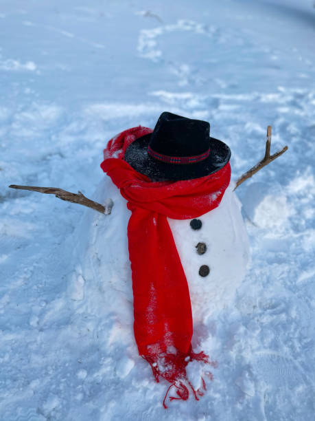 VERTICAL: Poor snowman wearing a black hat slowly melts away in a snowy meadow. VERTICAL, CLOSE UP, DOF: Poor snowman wearing a black hat slowly melts away in a snowy meadow due to global warming. Funny looking snow man gets destroyed by rising temperatures of climate change. melting snow man stock pictures, royalty-free photos & images