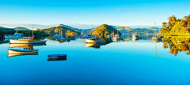 Port Chalmers stock photo