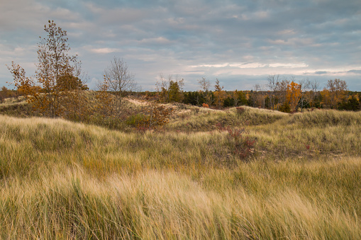 A cold fall day overlooking Port Crescent State Park Hawk Watch with dune and dune grass blowing in the cold autumn wind