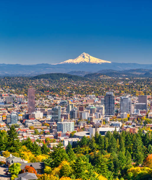 Portland Oregon Stock Photos Pictures Royalty Free Images iStock Portland Oregon Stock Photos Pictures Royalty Free Images iStock