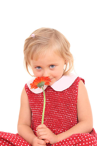 portrait of 4 years old girl with flower stock photo