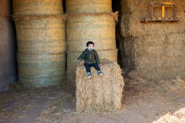 Portrait of a child sitting in a straw bale stock photo