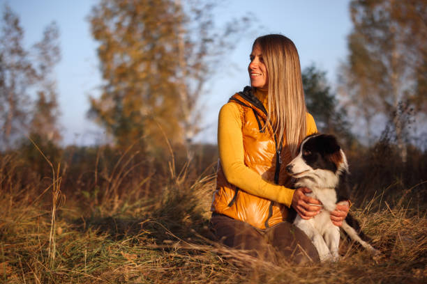 Portrait of a Girl in Yellow and Border Collie on a Nature Background stock photo