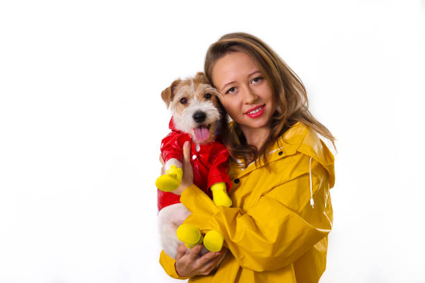 Portrait of a smiling girl in a yellow raincoat with a dog Jack Russell Terrier in a red jacket in her arms. Isolated on white background stock photo