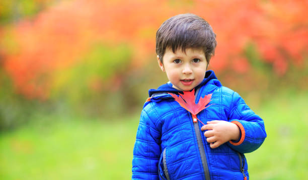 Portrait of a toddler cute boy with a red maple leaf in the hand. Happy child playing with maple leaves in beautiful autumn park on warm sunny fall day. Canadian kid having fun in the forest during holiday time. stock photo