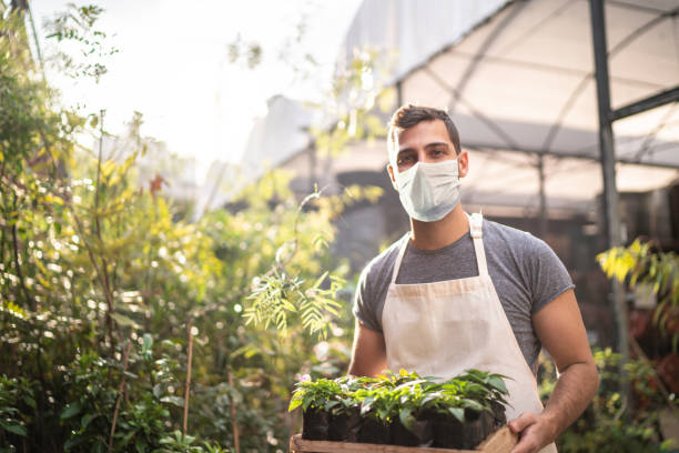 Portrait of a young florist holding a box full of seedlings using protective mask (garden) Portrait of a young florist holding a box full of seedlings using protective mask garden center stock pictures, royalty-free photos & images