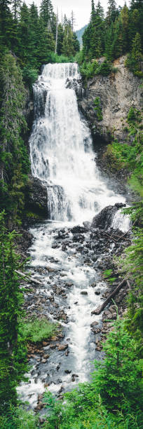 Portrait of British Columbia Waterfall Framed with Green Foliage stock photo