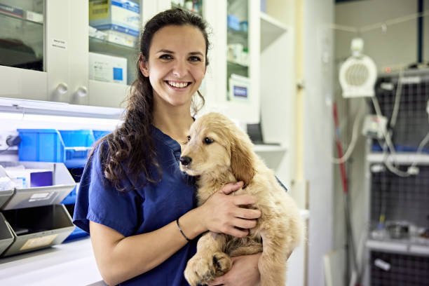 Portrait of Female Veterinary Technician Holding Young Dog stock photo