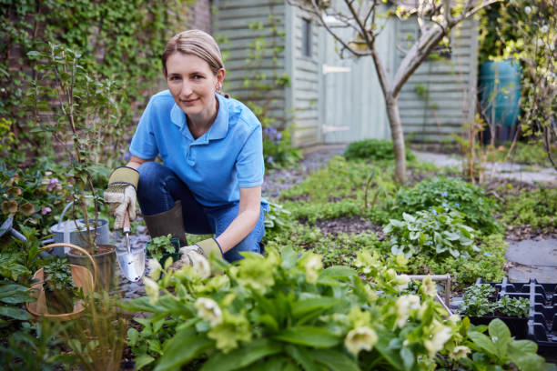 Portrait Of Mature Female Landscape Gardener Planting Plants In Garden stock photo