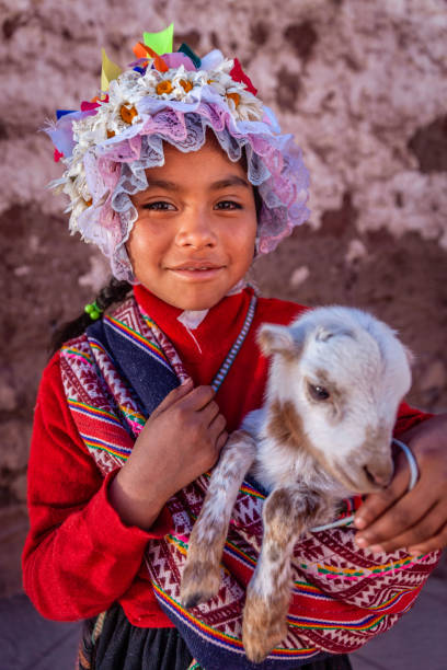 Portrait of Peruvian little girl wearing national clothing, The Sacred Valley Portrait of Peruvian little girl wearing national clothing and holding a llama near Pisac in The Sacred Valley.  The Sacred Valley of the Incas or Urubamba Valley is a valley in the Andes  of Peru, close to the Inca capital of Cusco and below the ancient sacred city of Machu Picchu. The valley is generally understood to include everything between Pisac  and Ollantaytambo, parallel to the Urubamba River, or Vilcanota River or Wilcamayu, as this Sacred river is called when passing through the valley. It is fed by numerous rivers which descend through adjoining valleys and gorges, and contains numerous archaeological remains and villages. The valley was appreciated by the Incas due to its special geographical and climatic qualities. It was one of the empire's main points for the extraction of natural wealth, and the best place for maize production in Peru. peru girl stock pictures, royalty-free photos & images