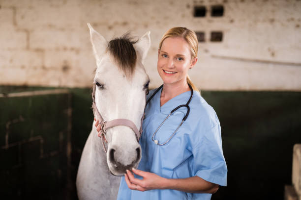 porträtt av leende kvinna veterinären står med häst - working stable horses bildbanksfoton och bilder