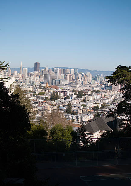 Portrait view of San Francisco through trees stock photo