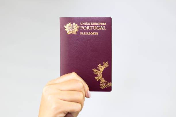 Portuguese passport. stock photo
