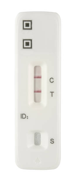 Positive COVID Rapid Test Strip A Rapid Lateral Flow COVID-19 Test Strip Showing A Positive Result lateral surface photos stock pictures, royalty-free photos & images