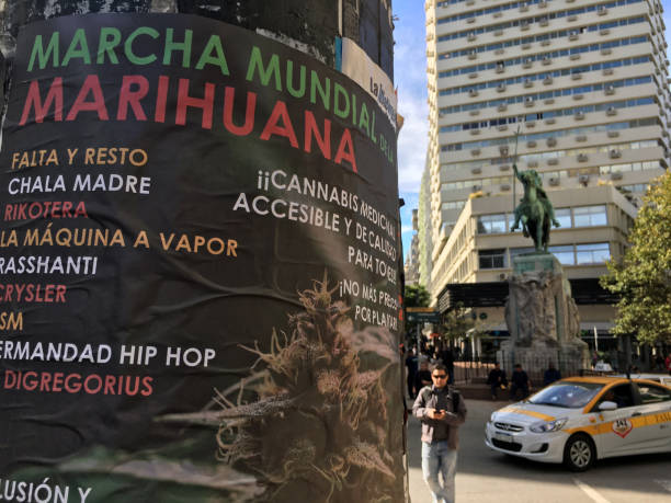 affiche publicitaire pro de la marihuana démonstration - cannabis voiture jeune photos et images de collection