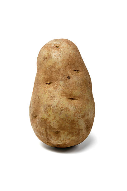 Potato Single potato standing on a clean white background raw potato stock pictures, royalty-free photos & images