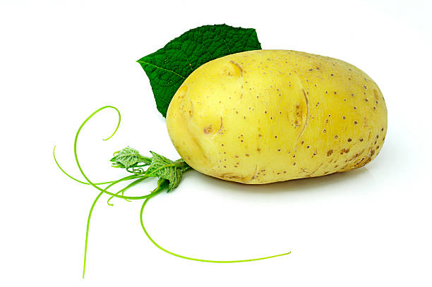 Potato  vudhikrai stock pictures, royalty-free photos & images