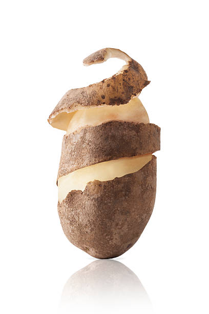 Potato Potato - Isolated on a white background peeled stock pictures, royalty-free photos & images