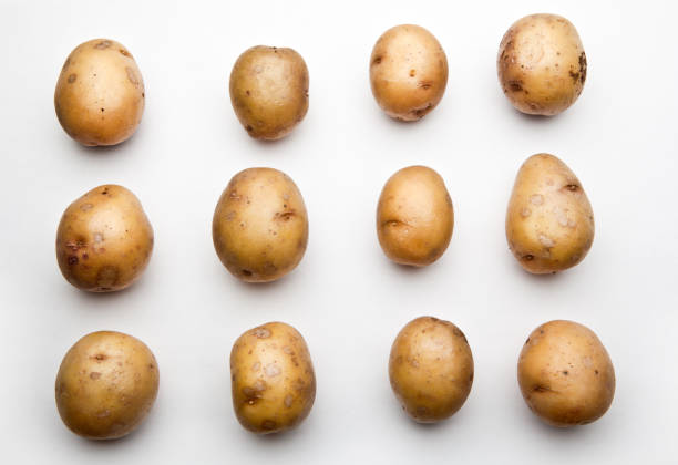 Potato studio Potato studio prepared potato stock pictures, royalty-free photos & images